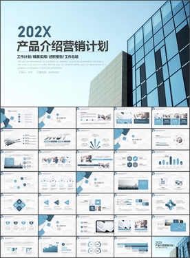 产品介绍 营销计划PPT