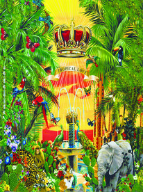 动物王国 热带雨林