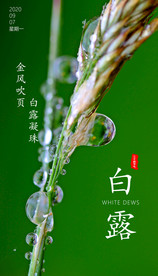 节气 微信稿  品牌 海报