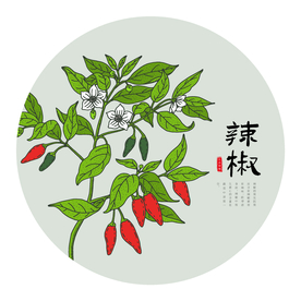 手绘辣椒