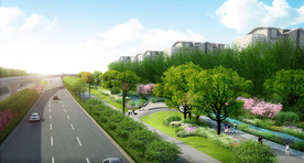 道路绿化效果图