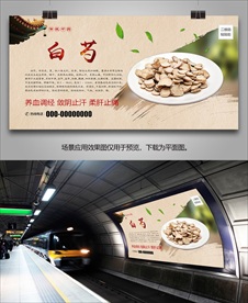 中药文化白芍海报灯箱展板展架