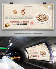 中药材白芍海报灯箱展板挂画单页