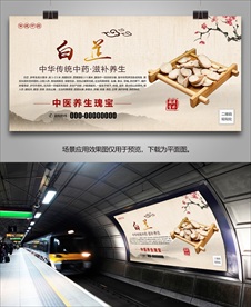 中药白芷海报灯箱挂画展板单页