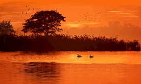 油画风景意境山水画