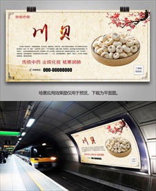 川贝单页海报展板展架灯箱挂画