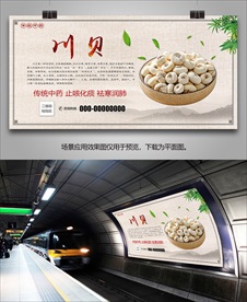 中草药川贝海报灯箱展板展架挂画