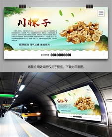 中药川楝子灯箱海报展板展架挂画