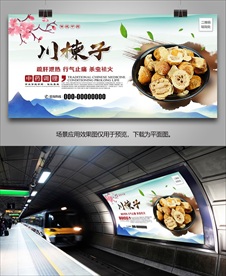 中草药川楝子海报灯箱展板挂画