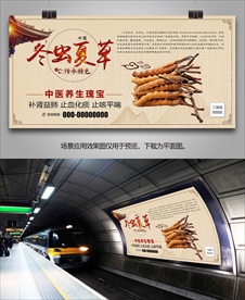 中药冬虫夏草海报灯箱展板挂画