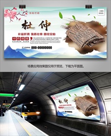 中草药杜仲海报灯箱展板展架挂画