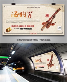 海狗肾单页挂画海报灯箱展板展架