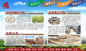 展板 中药材 沙棘 中盛湖羊