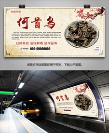 何首乌灯箱海报展板展架单页挂画