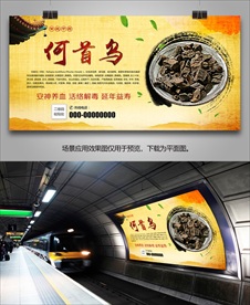 何首乌招贴海报灯箱展板展架挂画