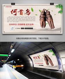 野生何首乌海报灯箱展板展架挂画