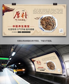 中草药厚朴海报灯箱展板展架单页
