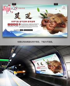 野生灵芝海报灯箱展板展架挂画