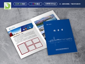 技术咨询报告书