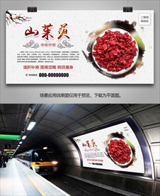 山茱萸灯箱海报展板展架挂画单页