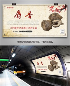 麝香简介海报灯箱展板挂画单页