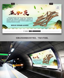 五加皮招贴海报灯箱展板展架挂画