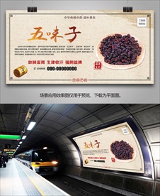 五味子简介灯箱海报展板展架挂画