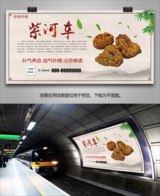 中药材紫河车海报灯箱展板单页