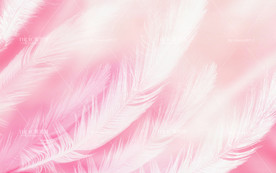 粉色羽毛背景墙