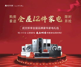 地产送家电