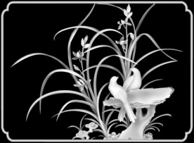 兰花灰度图