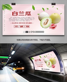 白兰瓜简介海报灯箱展板展架挂画