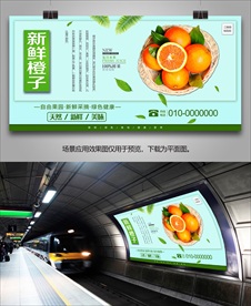 新鲜橙子挂画灯箱单页展板海报