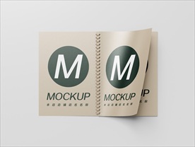 线圈杂志线圈本样机