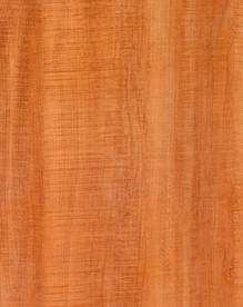 色卡 木纹 实木拼接