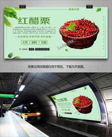 醋栗展架海报单页灯箱易拉宝展板