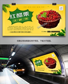 醋栗展板单页易拉宝灯箱海报挂画