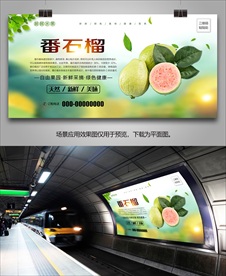 番石榴单页灯箱展架展板挂画