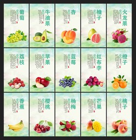 水果海报  水果挂画