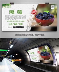 新鲜黑莓易拉宝海报展架单页展板