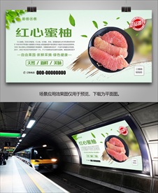 红心蜜柚展板海报易拉宝单页展架