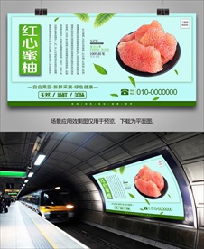 红心蜜柚展架展板灯箱海报易拉宝