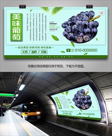 新鲜葡萄海报挂画展架易拉宝展板