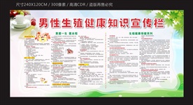 男性生殖健康宣传栏