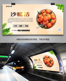沙糖桔展架灯箱单页易拉宝海报