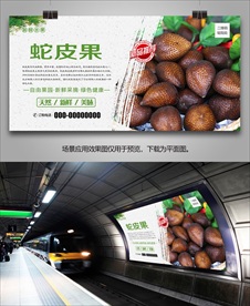 蛇皮果挂画单页展架海报展板