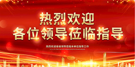 热烈欢迎领导莅临指导海报展板