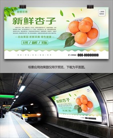 杏海报易拉宝挂画展板单页灯箱