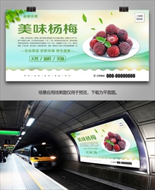 杨梅易拉宝海报单页灯箱展板展架