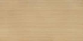 高清天然木纹贴图木板地板